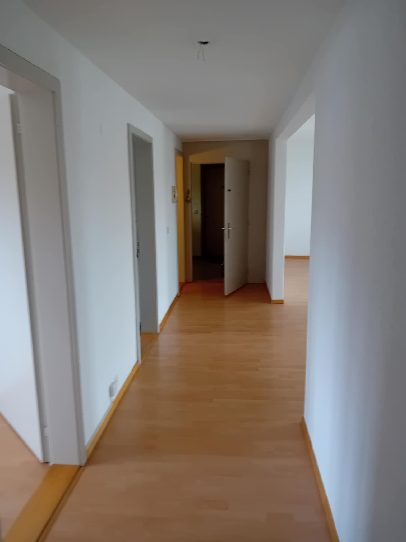 Modernes Büro mit professioneller Unternehmensmalerei